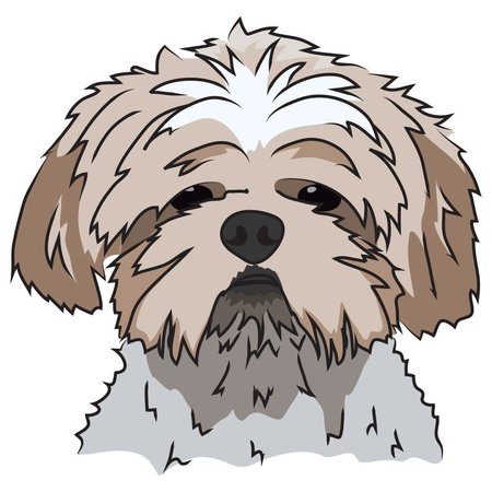 SIGNMISSION Shih Tzu Dog Decal, Dog Lover Decor Vinyl Sticker D-12-Shih Tzu